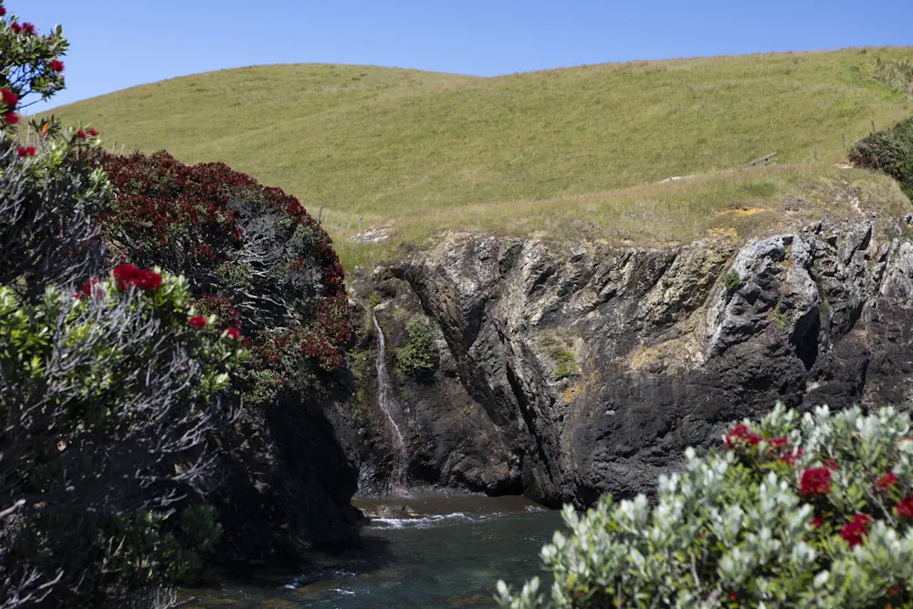 Lot 48 WaiKowhai-8845