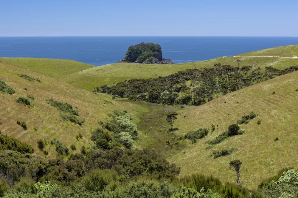 Lot 48 WaiKowhai-8884