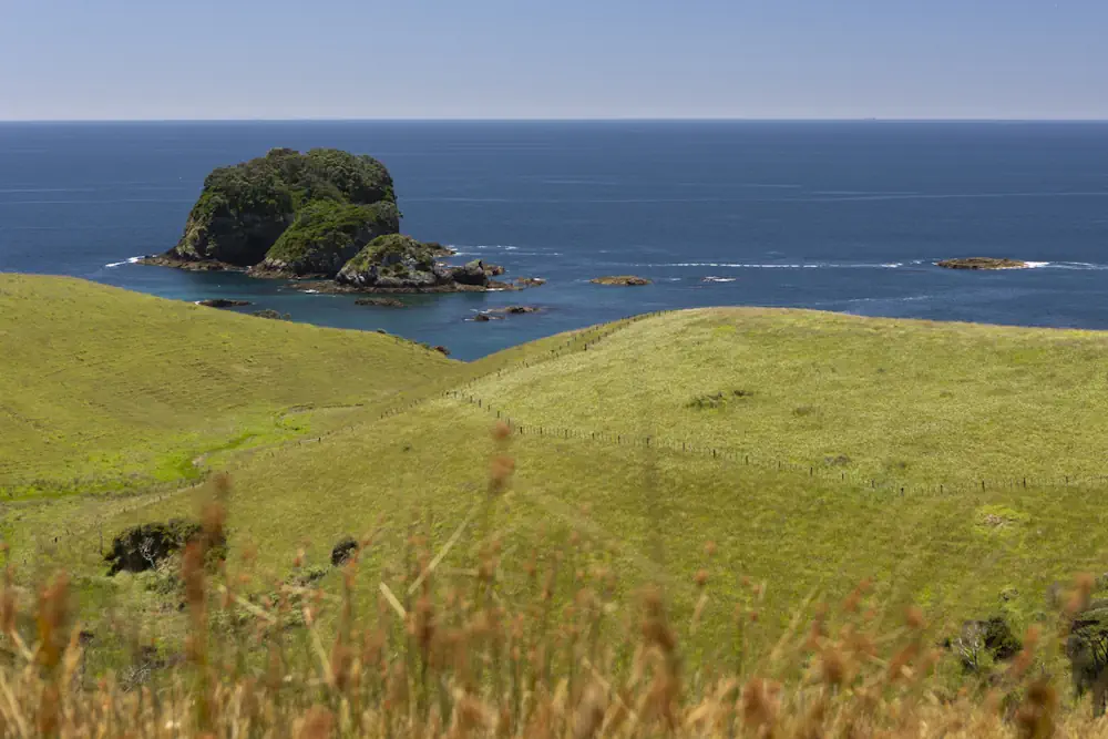 Lot 48 WaiKowhai-8890