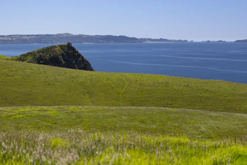 Lot 48 WaiKowhai-8913